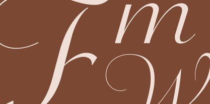 R41 Donatello Font Poster 5
