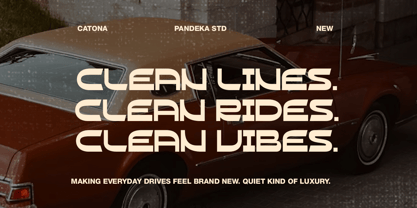 Catona Font Poster 3