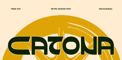 Catona Font Poster 1