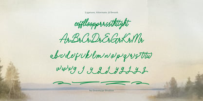 Norayne Adriella Font Poster 12