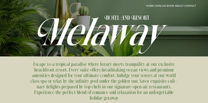 AT Paskalara Font Poster 5