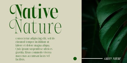 AT Paskalara Font Poster 3