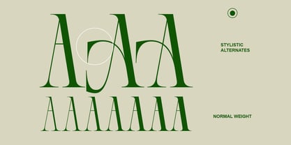 AT Paskalara Font Poster 6