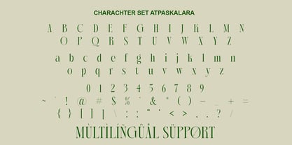 AT Paskalara Font Poster 10