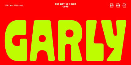 TNSC Garly Font Poster 1