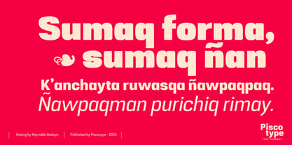 Republicana Font Poster 8