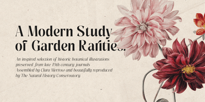 Pure Motif Variable Font Poster 3