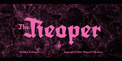 Amortem Font Poster 8