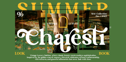 Lane Fiegras Font Poster 7