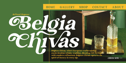 Lane Fiegras Font Poster 5