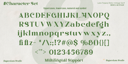 Lane Fiegras Font Poster 11