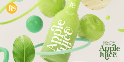 Lane Fiegras Font Poster 9