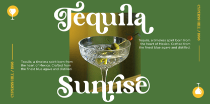 Lane Fiegras Font Poster 4