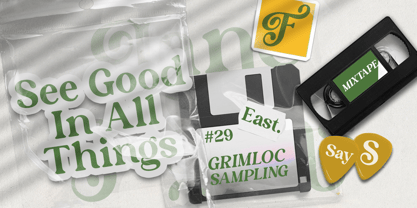 Lane Fiegras Font Poster 10