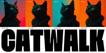 Moara Font Poster 4