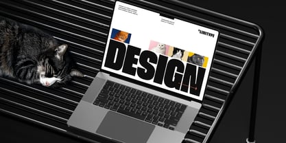 Moara Font Poster 9