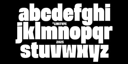 Moara Font Poster 11
