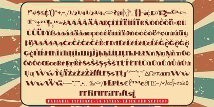 Makora Variable Font Poster 5