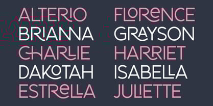 Black channel Font Poster 6