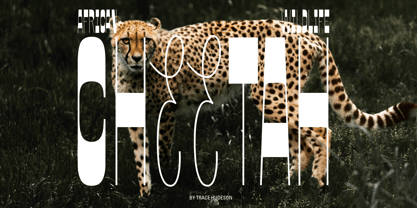 Jt Bloore Font Poster 9