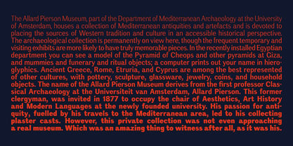 Amsterdam Grotesk Variable Font Poster 4