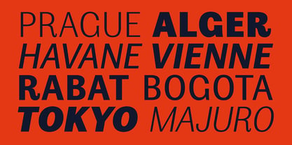 Amsterdam Grotesk Variable Font Poster 7