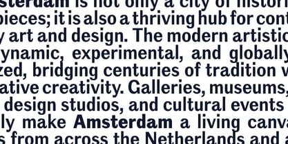 Amsterdam Grotesk Variable Font Poster 8
