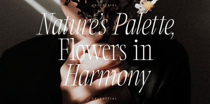 Clamofte Font Poster 2