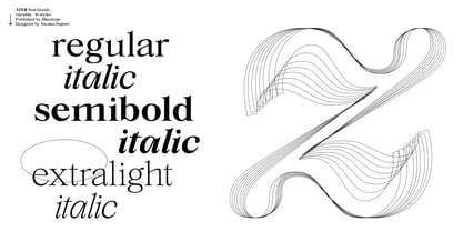 Ater Variable Font Poster 14