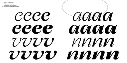 Ater Variable Font Poster 9