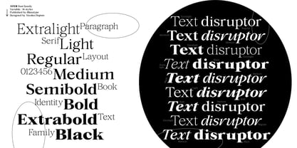 Ater Variable Font Poster 5