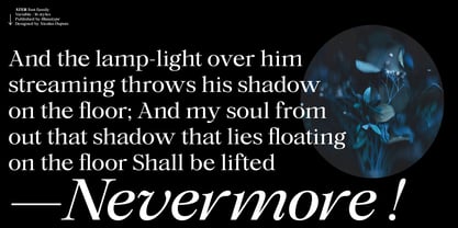 Ater Variable Font Poster 12