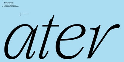 Ater Variable Font Poster 11