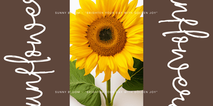 Velvet Horizon Font Poster 4