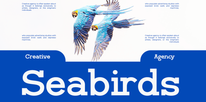 Scientify Font Poster 3