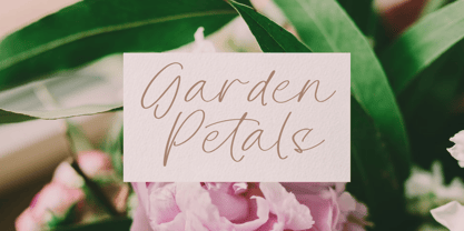 Mirage Silvesta Font Poster 5