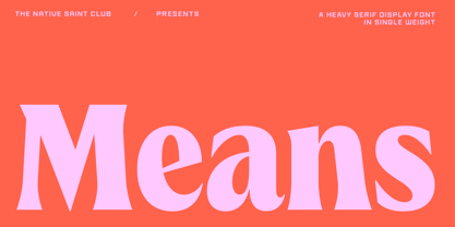 Means Font Poster 1