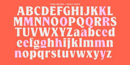 Means Font Poster 12