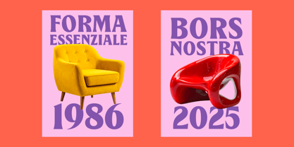 Means Font Poster 6