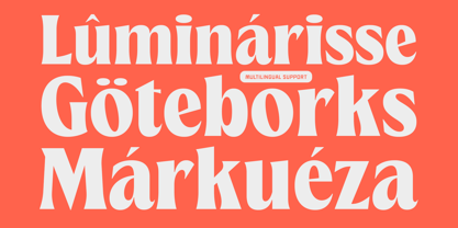 Means Font Poster 4