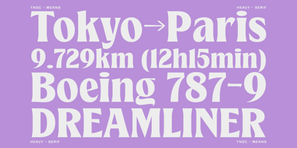 Means Font Poster 7