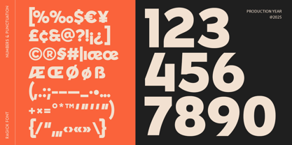 Ragick Font Poster 10