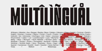 Amigdala Font Poster 9