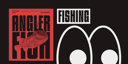 Amigdala Font Poster 7