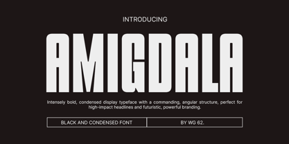 Amigdala Font Poster 1