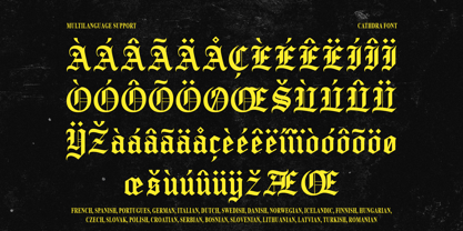 IT Cathdra Font Poster 6