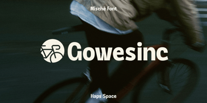 HS Mische Display Font Poster 9