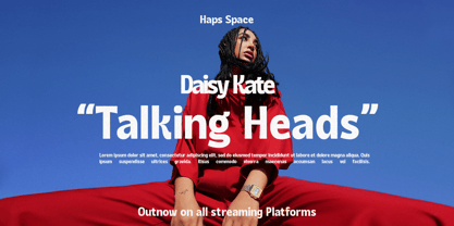 HS Mische Display Font Poster 8