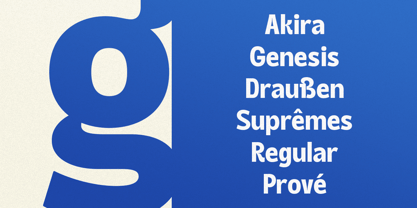 HS Mische Display Font Poster 5