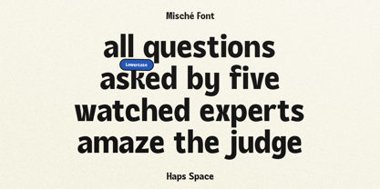 HS Mische Display Font Poster 4
